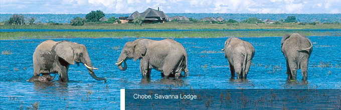 Chobe, Savanna Lodge