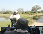 Game Drive