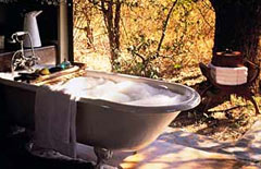 White Elephant Safari Lodge Lodge