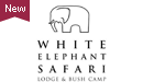 White Elephant Safari Lodge